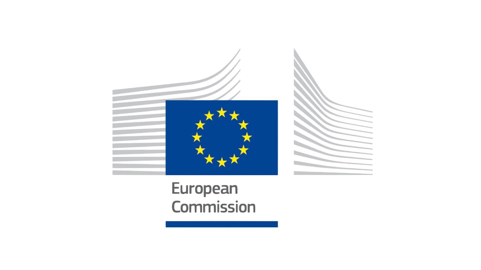 European Commission webinar session