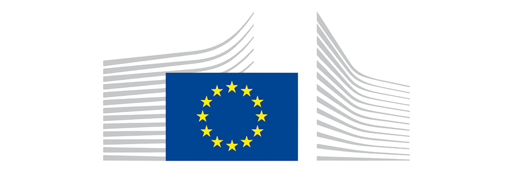 European Commission webinar session