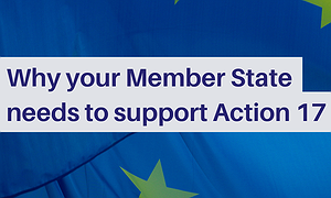 Why your Member State needs to support Action 17